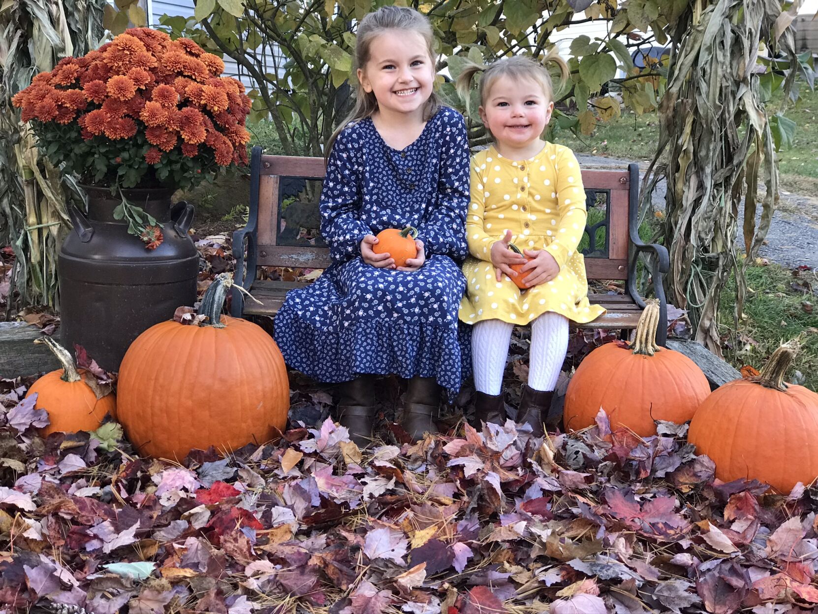Reader Pics: Oct. 15